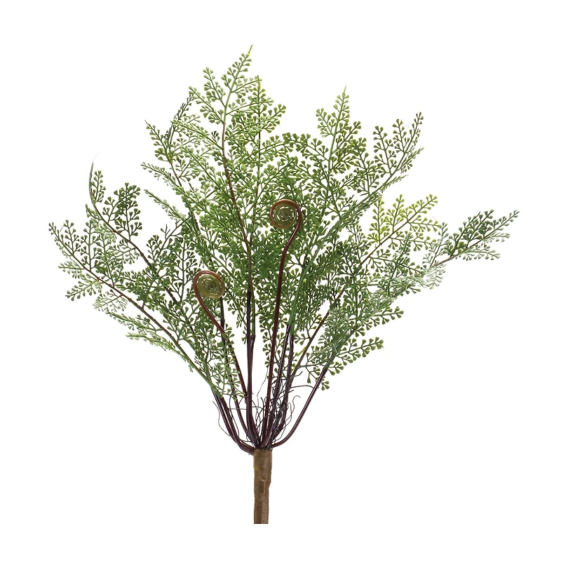 13" Fern Bushes, 2ct.