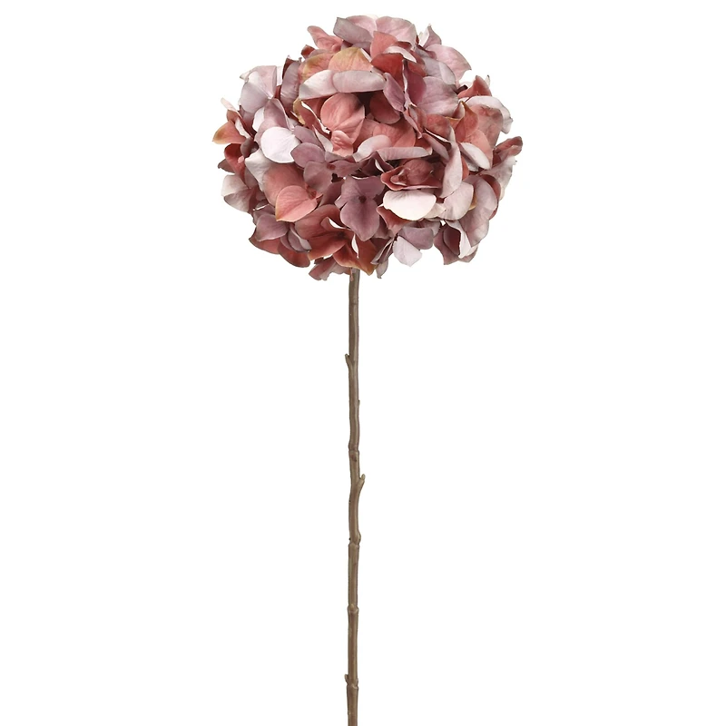 Mauve Purple Hydrangea Stem