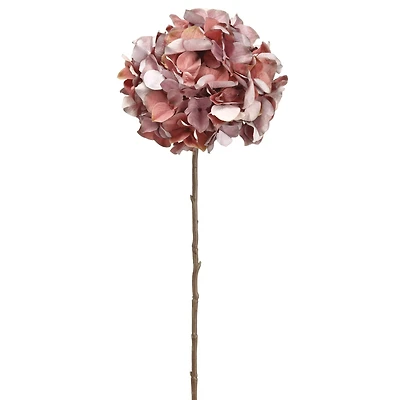 Mauve Purple Hydrangea Stem