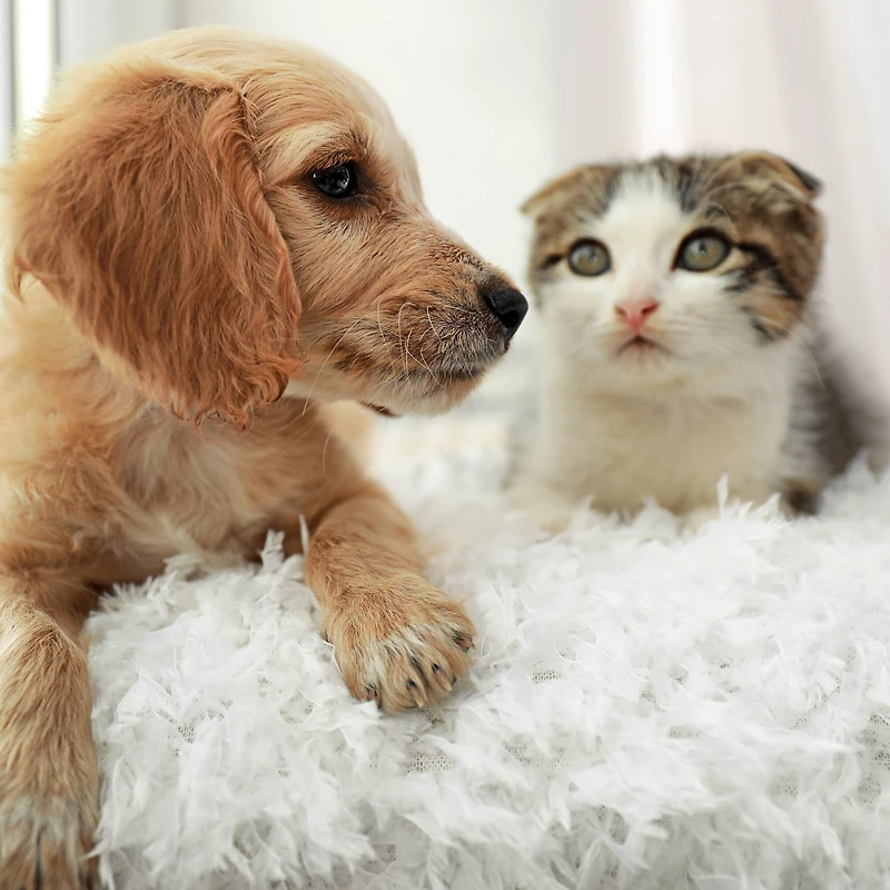 Hastings Home Faux Fur Shag Throw Pillow