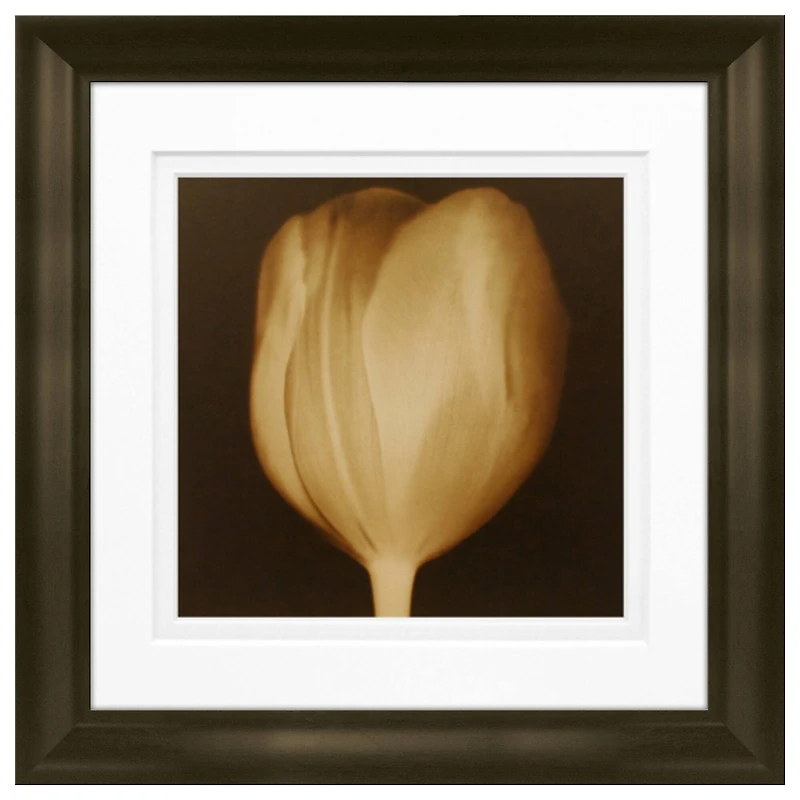 Timeless Frames® Tulip Framed Print Wall Art
