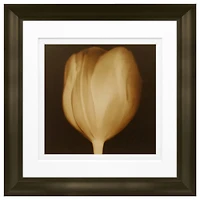 Timeless Frames® Tulip Framed Print Wall Art