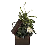20" African Violet, Dumb Cane & Ivy in Decorative Chest