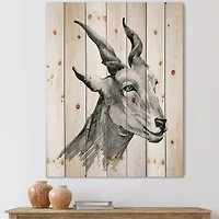 Designart - Monochrome Portrait Of Goat I