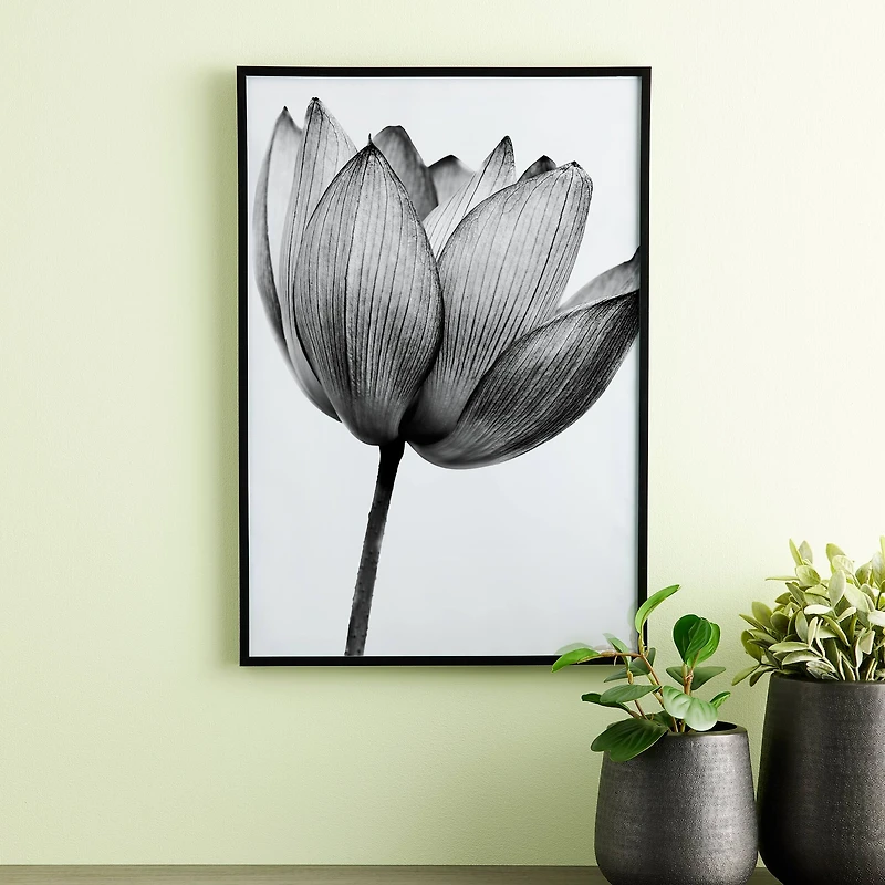 Basics Black Multipurpose Frame by Studio Décor®