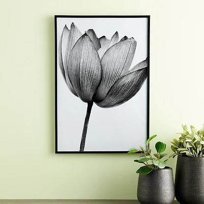 Basics Black Multipurpose Frame by Studio Décor®