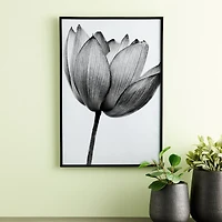 Basics Black Multipurpose Frame by Studio Décor®