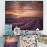 Designart - Sunrise & Dramatic Clouds Over Lavender Field XII