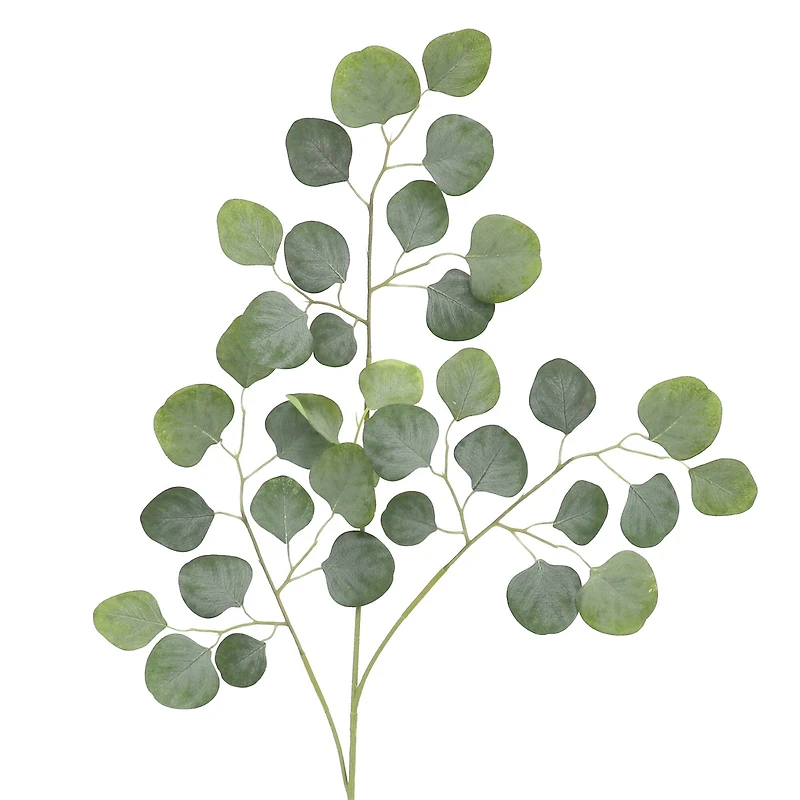 35.5" Dusty Green Round Eucalyptus Stem by Ashland®