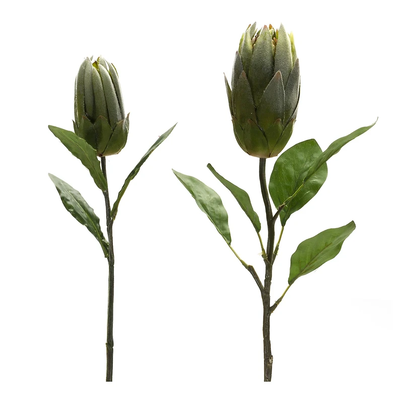 Green Protea Leaf Stems Set