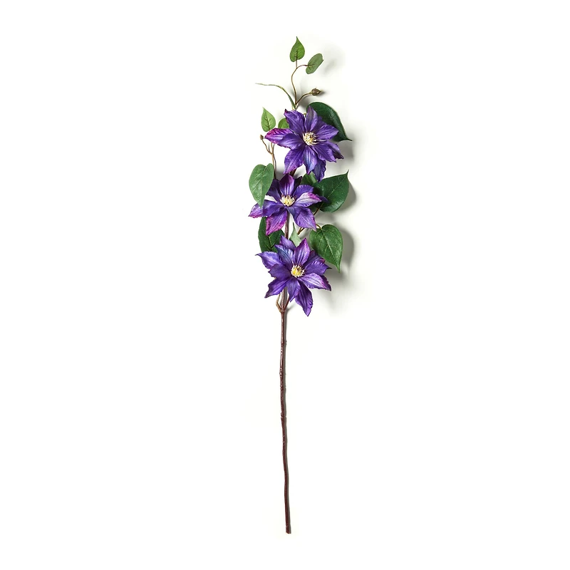 Purple Tropical Clematis Stem by Ashland®