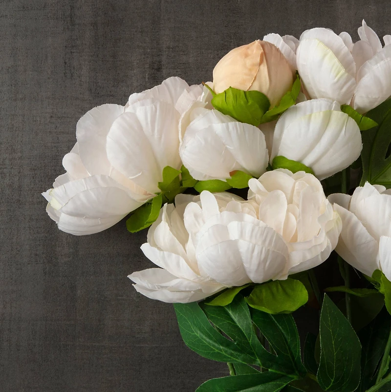 Cream Peony Bush by Ashland®