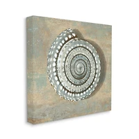 Stupell Industries Spiral Shell Beach Objects Design Canvas Wall Art