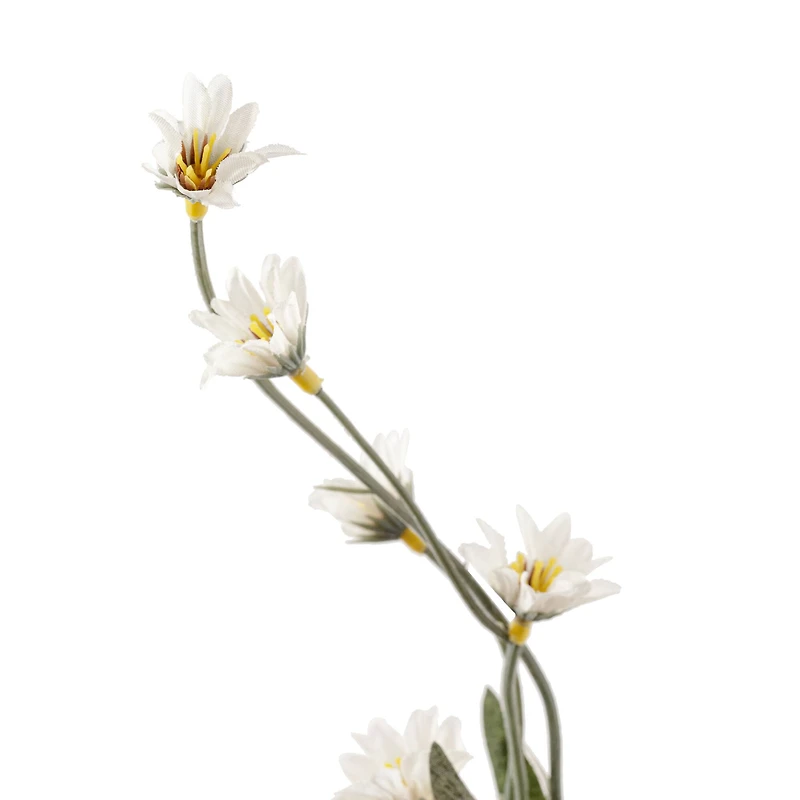 16 Pack: Cream Wild Daisy Spray by Ashland®