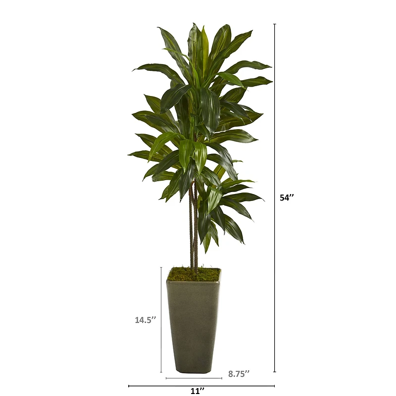 4.5ft. Dracaena Plant in Green Planter