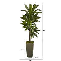 4.5ft. Dracaena Plant in Green Planter
