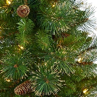 4ft. Pre-Lit Golden Tip Washington Pine with Pinecones Artificial Christmas Tree In White Planter, Clear Lights