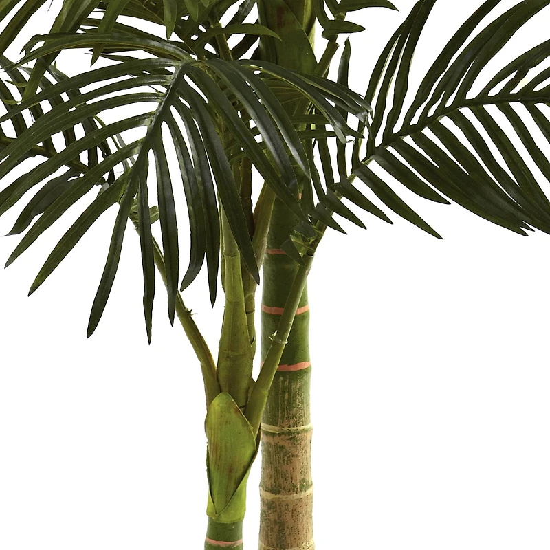 5ft. Potted Golden Cane Palm Tree