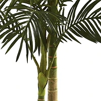 5ft. Potted Golden Cane Palm Tree
