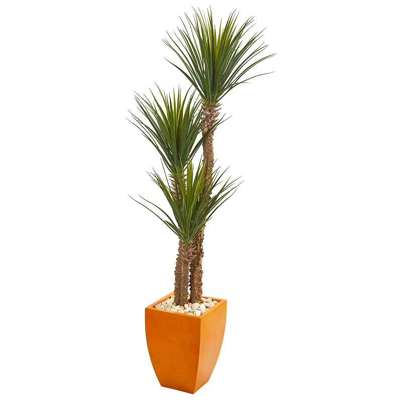 5.5ft. Yucca Tree in Orange Planter