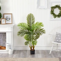 4.5ft. Potted Areca Palm Tree