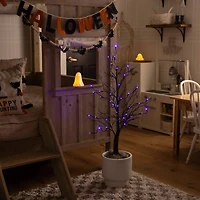 3ft. Pre-Lit Halloween Deluxe Black Twig Artificial Tree with 36 Orange & Purple LED Lights