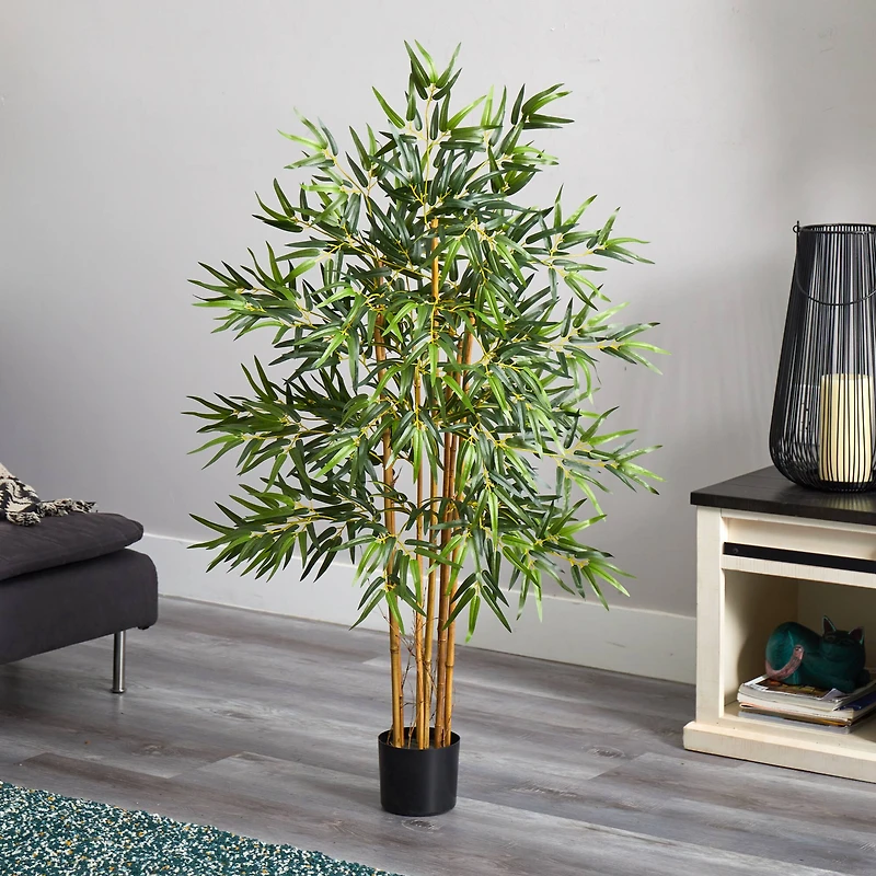 4ft. Potted Bambusa Bamboo Tree