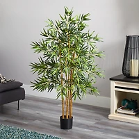4ft. Potted Bambusa Bamboo Tree