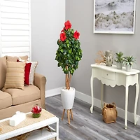 6ft. Hibiscus Tree in White Planter with Stand