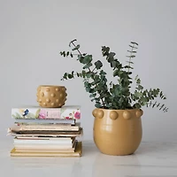 Hello Honey® 6.5" Matte Dijon Terra Cotta Planter with Raised Dots