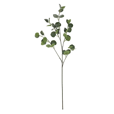 39" Snowy Eucalyptus Stem by Ashland®