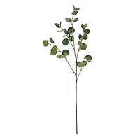 39" Snowy Eucalyptus Stem by Ashland®