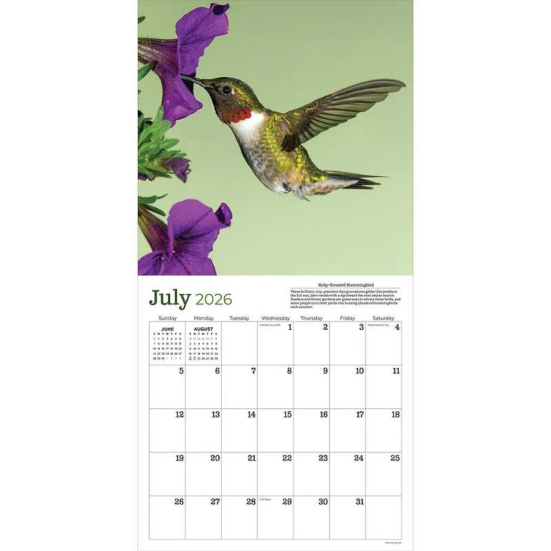 2026 Backyard Birds Wall Calendar
