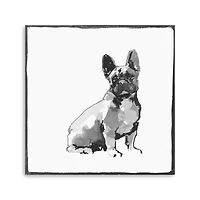 French Bull Dog Canvas Giclee