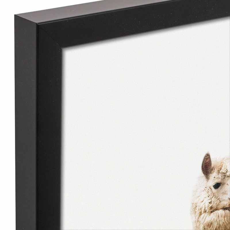 Leafy Llama Pile Black Framed Canvas