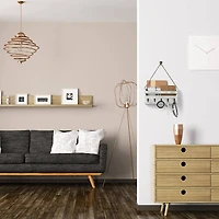 NEX™ Weathered Green Hanging Wall-Mounted Mail Organizer with 5 Hooks