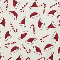 DII® Santa Dishtowel Set