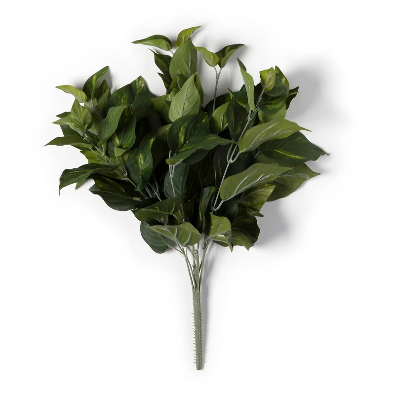 12 Pack: Pothos Bush by Ashland® Real Touch™