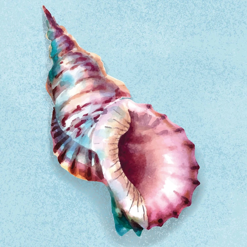 4" x 4" Seashell Canvas Painting Kit by Craft Smart®