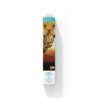 Diamond Dotz® Intermediate Sunset GiraffeAmboseli National Park, Kenya Diamond Art Painting Kit