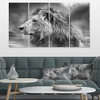 Designart - Grey Wild African Lion