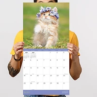 TF Publishing 2025 Kittens Wall Calendar