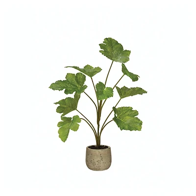 Hello Honey® Faux Plant In Cement Pot