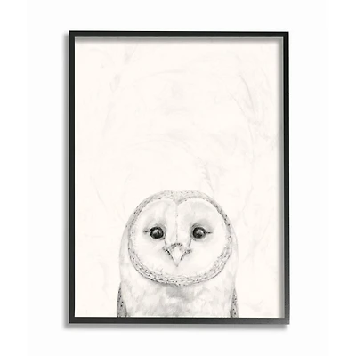 Stupell Industries Owl Portrait Grey Drawing Design Framed Wall Art
