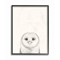 Stupell Industries Owl Portrait Grey Drawing Design Framed Wall Art