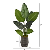 4ft. Travelers Palm Tree in Metal Planter