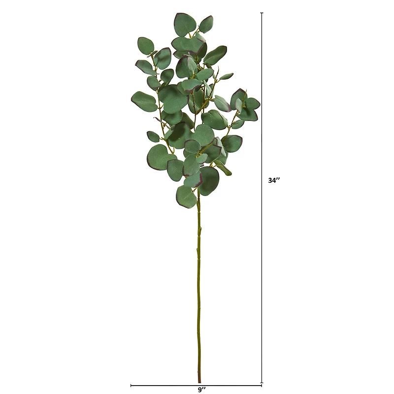 Green Eucalyptus Branch, 6ct.