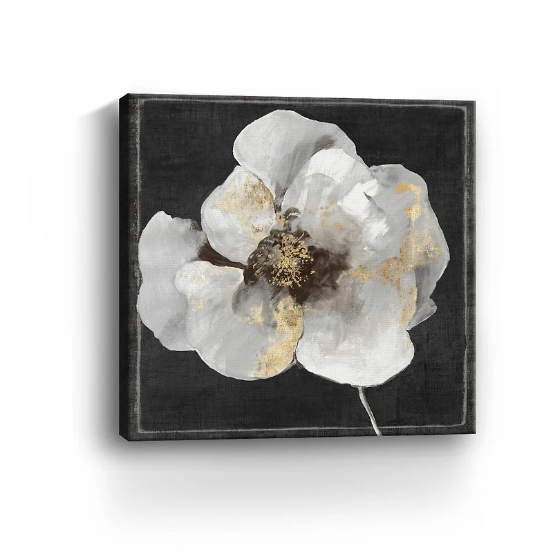 Lumaprints White Queen II Giclée Canvas