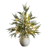 18" Pre-Lit Snowed Cypress Artificial Potted Christmas Tree