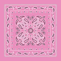Paisley Bandana by Make Market